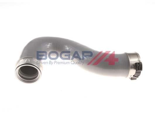 C1711161 Bogap