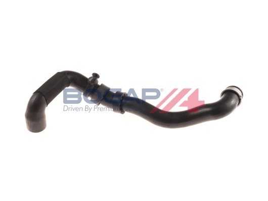 C4228121 Bogap