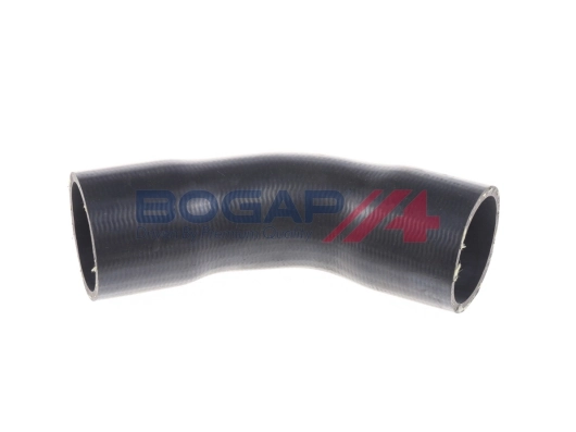 A1711131 Bogap