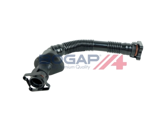 B1210153 Bogap