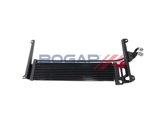 A4223100 Bogap