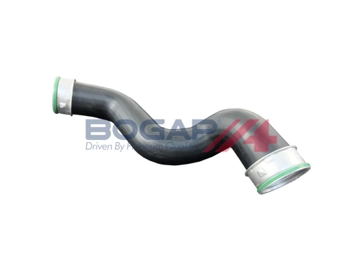 A1711107 Bogap