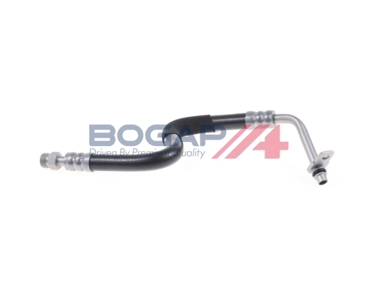 A2123106 Bogap