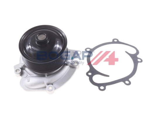 C4234101 Bogap