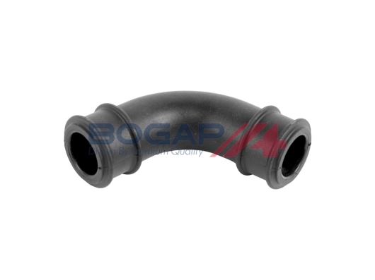 A1210166 Bogap