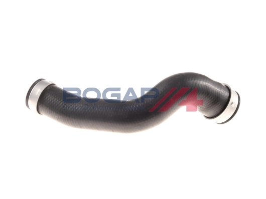 C1711128 Bogap