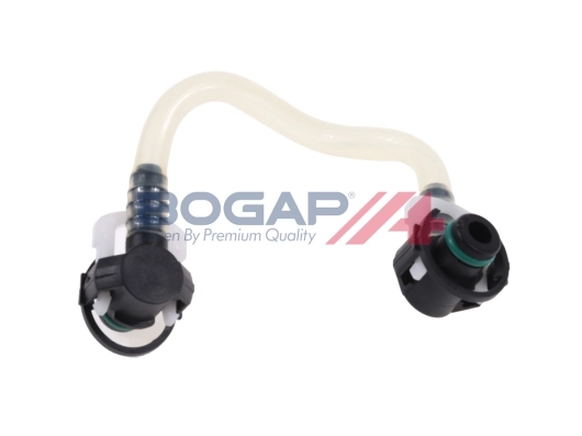 C1646119 Bogap