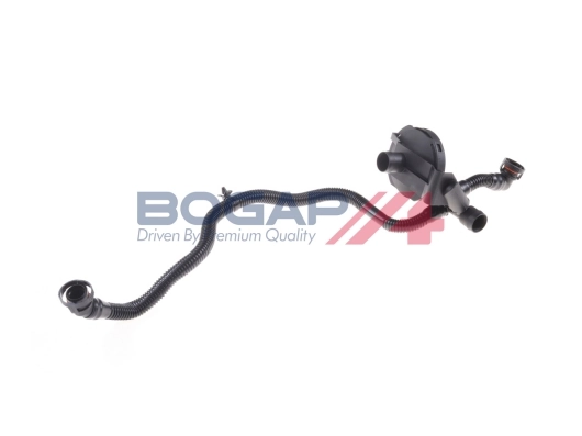 A1210107 Bogap