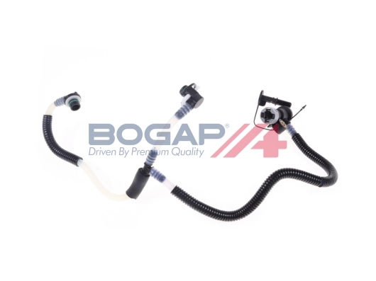 C1646113 Bogap