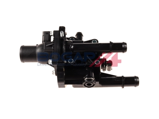 W4242100 Bogap
