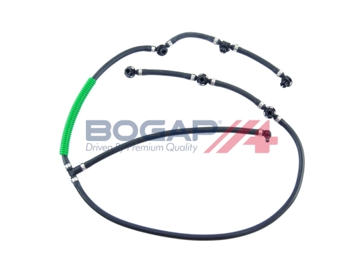 C1621110 Bogap