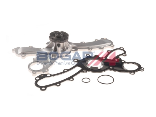 T4234105 Bogap