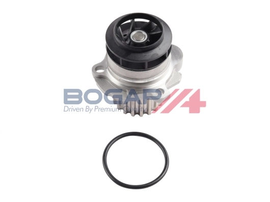 A4234154 Bogap