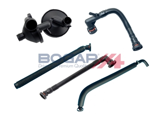 B1217118 Bogap