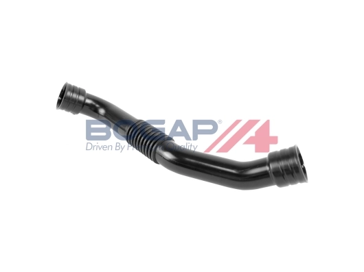 A1210179 Bogap