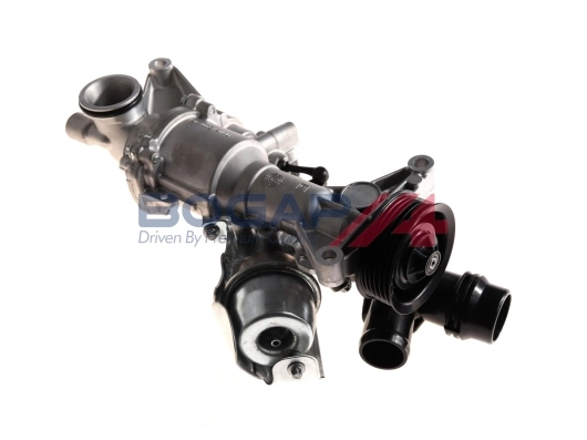 C4234100 Bogap