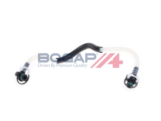 C1646105 Bogap