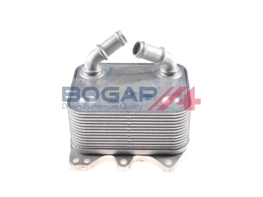A4222120 Bogap