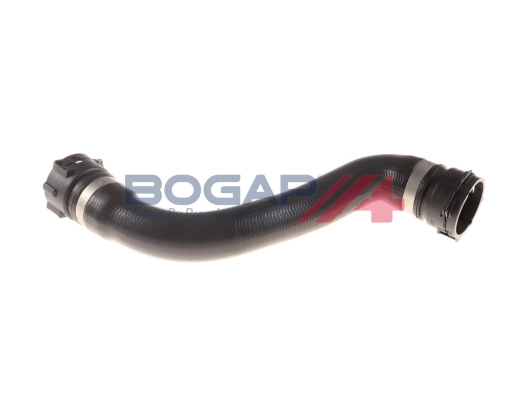 C4228133 Bogap