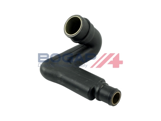 A1210157 Bogap