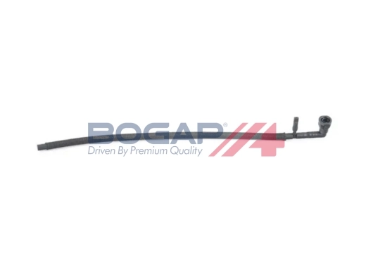 B1912102 Bogap