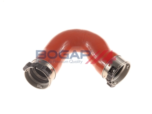 C1711170 Bogap