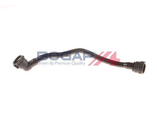 C4217100 Bogap