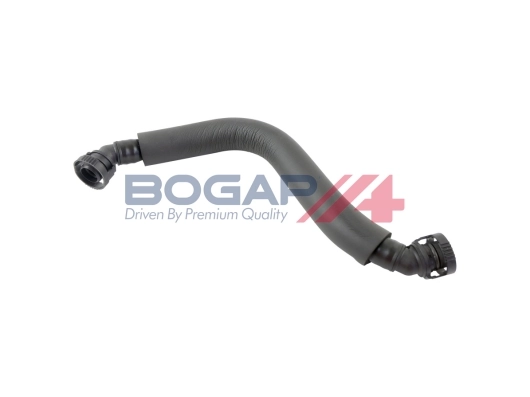 A1210174 Bogap