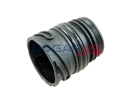 B2133100 Bogap