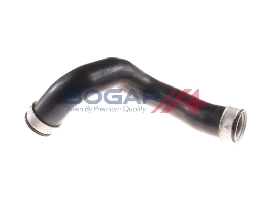 C1711113 Bogap