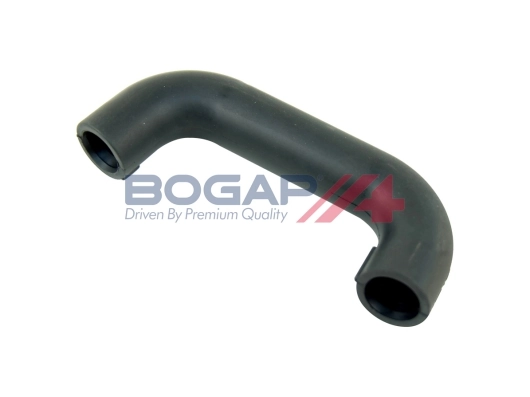 C1210105 Bogap