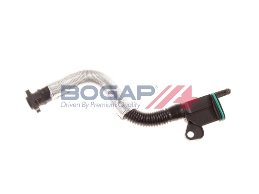 A1210100 Bogap