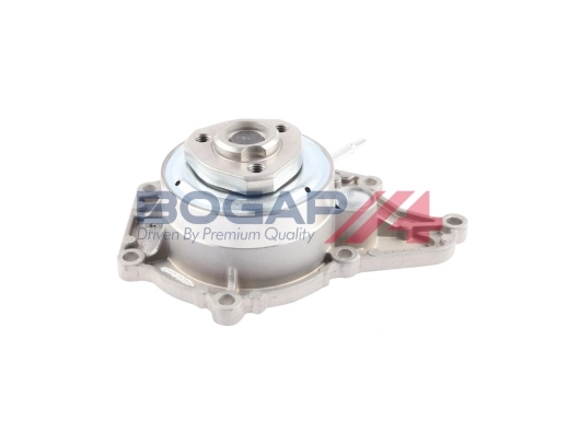 B6111100 Bogap