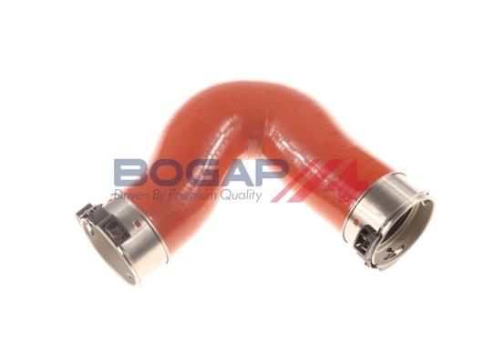 C1711168 Bogap