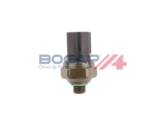 B4217101 Bogap