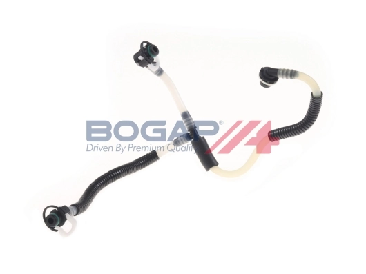 C1646114 Bogap