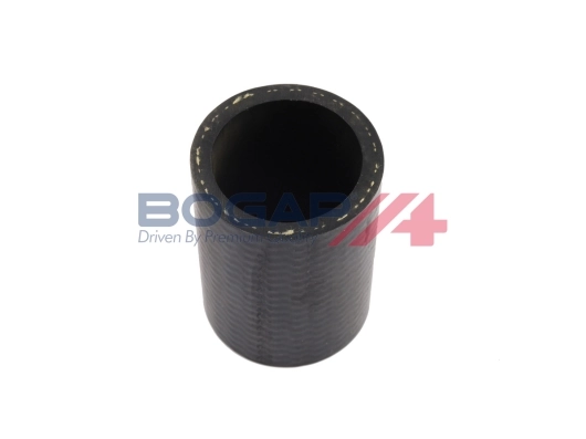 A1711132 Bogap