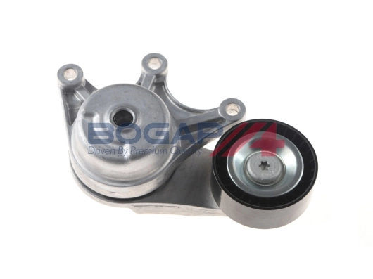 B1317109 Bogap
