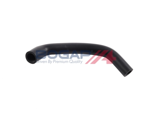A1711116 Bogap