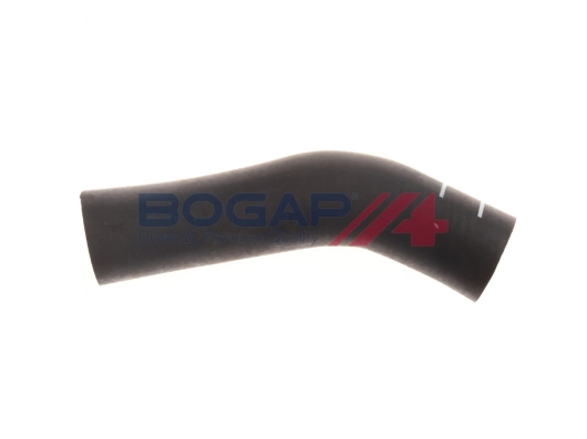 A4228313 Bogap