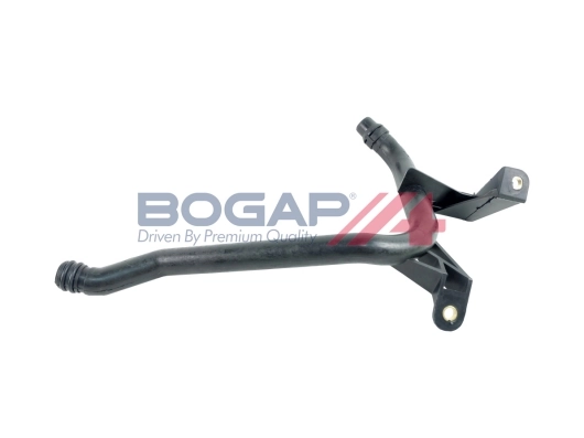 B4229101 Bogap