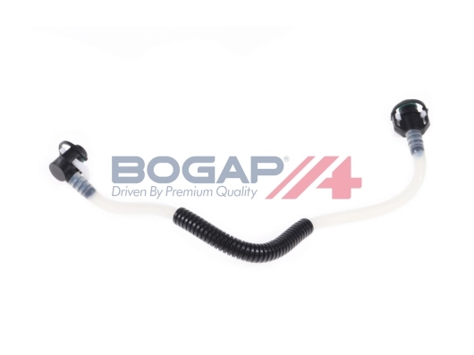 C1646101 Bogap