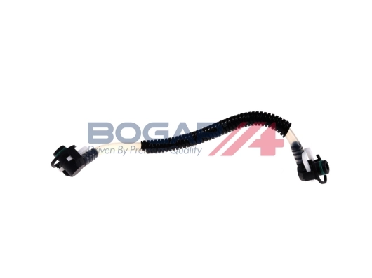 C1646104 Bogap