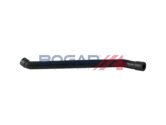 C1210100 Bogap