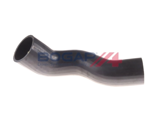 C1711148 Bogap