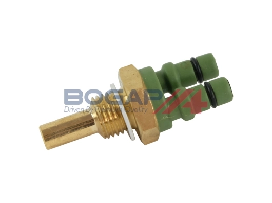 C4126109 Bogap
