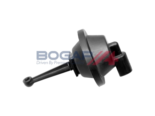 A6313102 Bogap