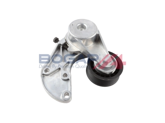 A1317102 Bogap
