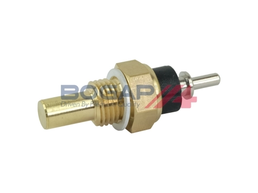 C4126106 Bogap