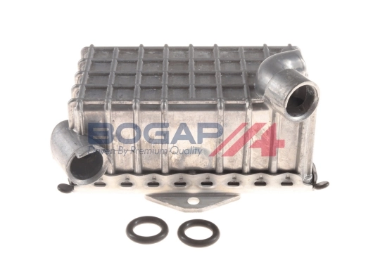 C4222101 Bogap